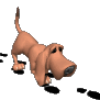 bloodhound tracking
